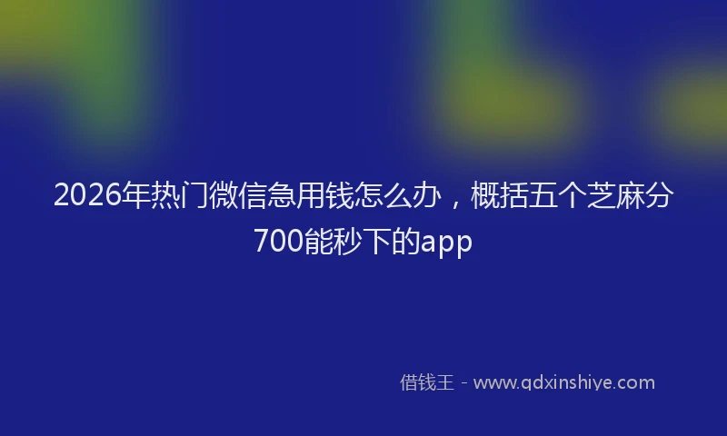 2026年热门微信急用钱怎么办，概括五个芝麻分700能秒下的app
