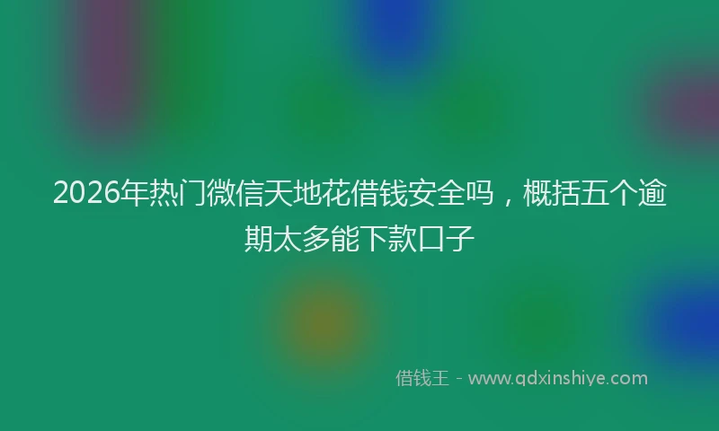 2026年热门微信天地花借钱安全吗，概括五个逾期太多能下款口子