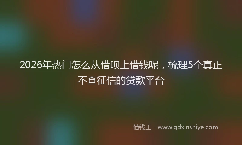 2026年热门怎么从借呗上借钱呢，梳理5个真正不查征信的贷款平台