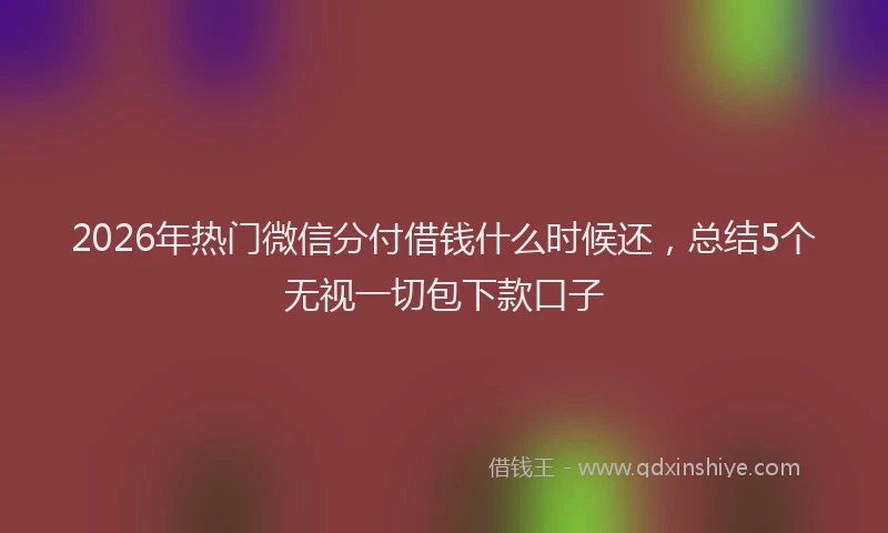 2026年热门微信分付借钱什么时候还，总结5个无视一切包下款口子