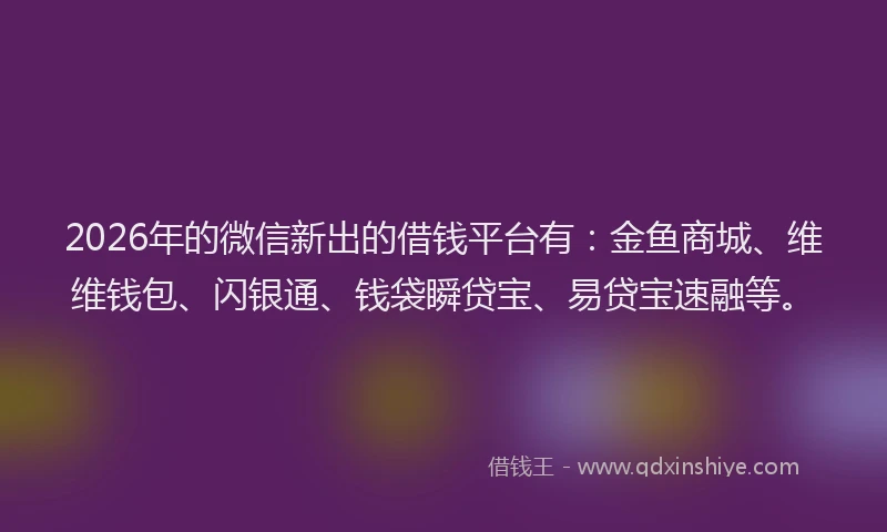 2026年的微信新出的借钱平台有：金鱼商城、维维钱包、闪银通、钱袋瞬贷宝、易贷宝速融等。