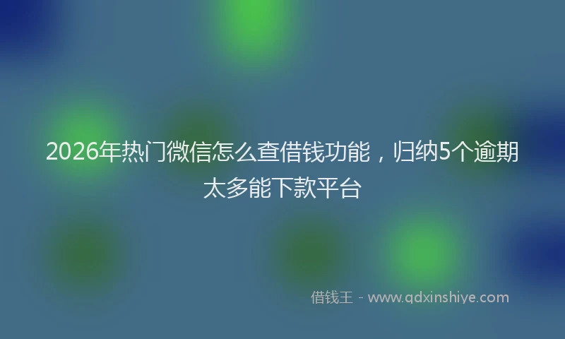 2026年热门微信怎么查借钱功能，归纳5个逾期太多能下款平台