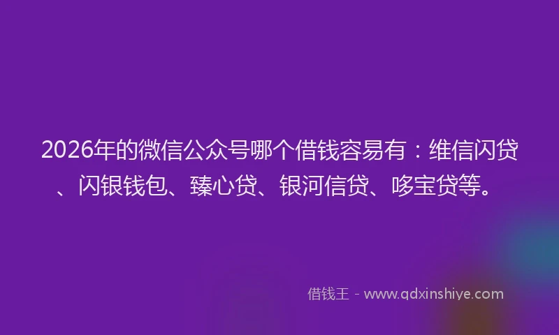 2026年的微信公众号哪个借钱容易有：维信闪贷、闪银钱包、臻心贷、银河信贷、哆宝贷等。