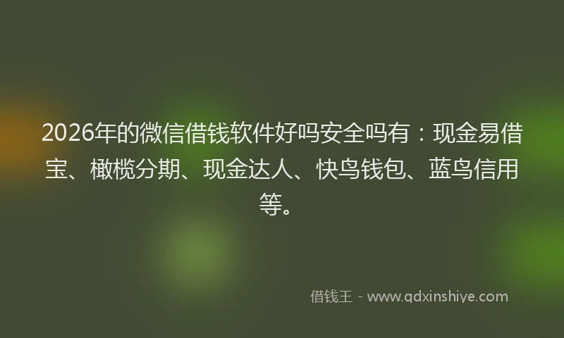 2026年的微信借钱软件好吗安全吗有：现金易借宝、橄榄分期、现金达人、快鸟钱包、蓝鸟信用等。