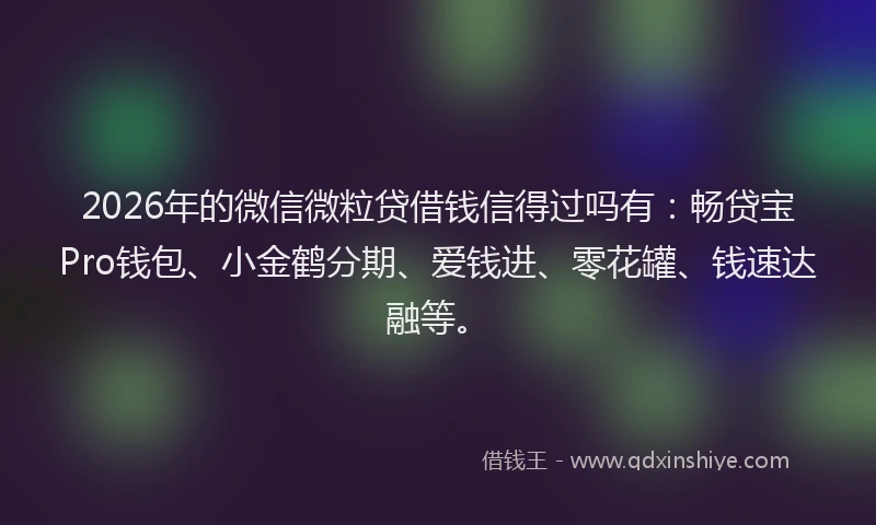 2026年的微信微粒贷借钱信得过吗有:畅贷宝Pro钱包、小金鹤分期、爱钱进、零花罐、钱速达融等。