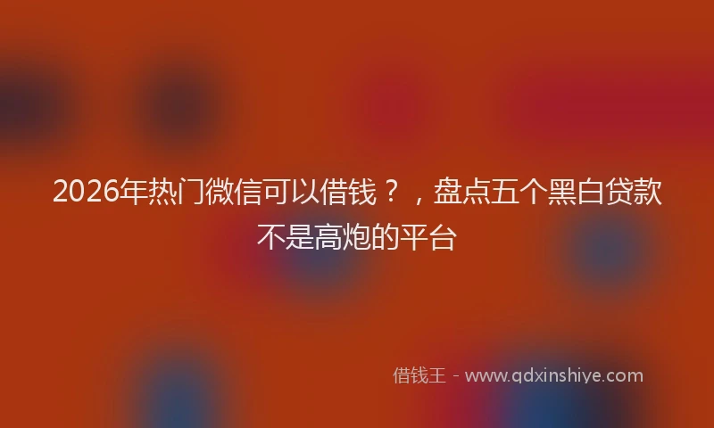 2026年热门微信可以借钱？，盘点五个黑白贷款不是高炮的平台