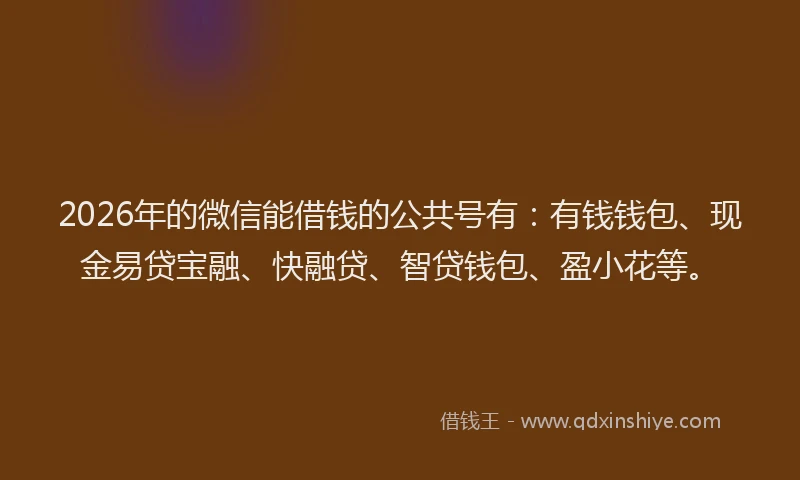 2026年的微信能借钱的公共号有：有钱钱包、现金易贷宝融、快融贷、智贷钱包、盈小花等。