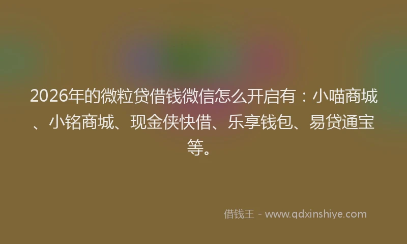 2026年的微粒贷借钱微信怎么开启有：小喵商城、小铭商城、现金侠快借、乐享钱包、易贷通宝等。