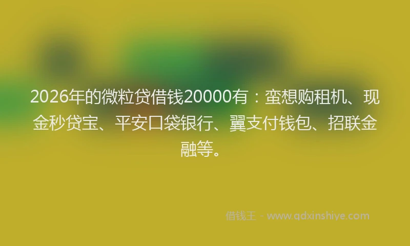 2026年的微粒贷借钱20000有:蛮想购租机、现金秒贷宝、平安口袋银行、翼支付钱包、招联金融等。