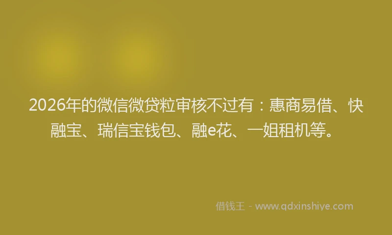 2026年的微信微贷粒审核不过有：惠商易借、快融宝、瑞信宝钱包、融e花、一姐租机等。