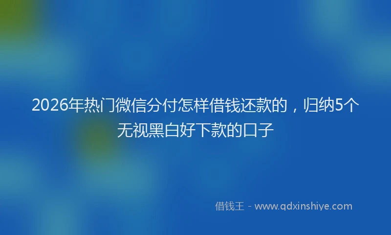 2026年热门微信分付怎样借钱还款的，归纳5个无视黑白好下款的口子