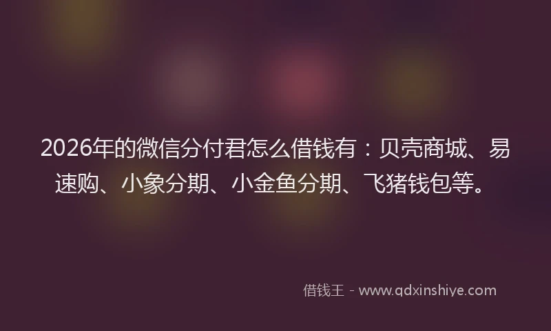 2026年的微信分付君怎么借钱有：贝壳商城、易速购、小象分期、小金鱼分期、飞猪钱包等。
