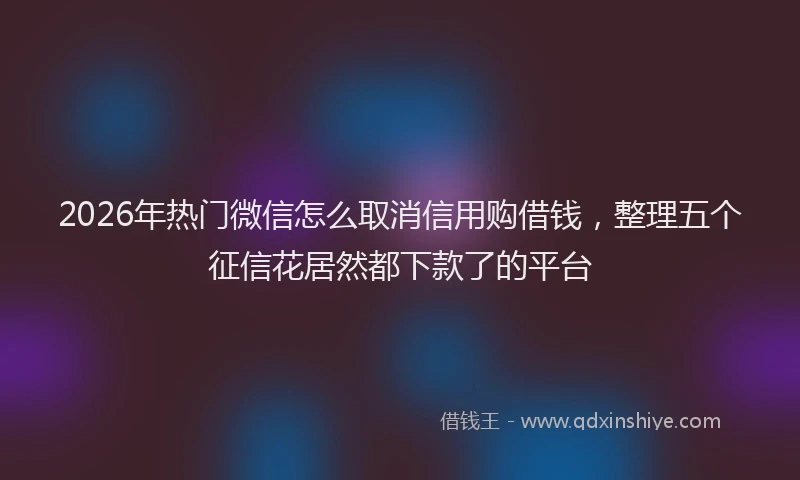 2026年热门微信怎么取消信用购借钱，整理五个征信花居然都下款了的平台