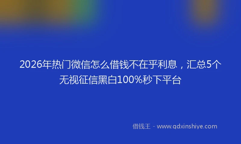 2026年热门微信怎么借钱不在乎利息，汇总5个无视征信黑白100%秒下平台