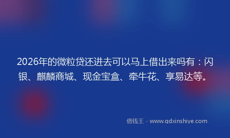 2026年的微粒贷还进去可以马上借出来吗有：闪银、麒麟商城、现金宝盒、牵牛花、享易达等。