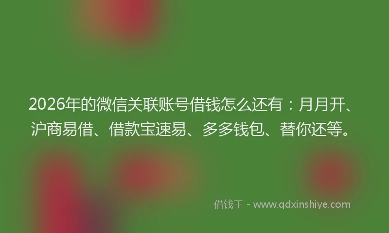 2026年的微信关联账号借钱怎么还有：月月开、沪商易借、借款宝速易、多多钱包、替你还等。
