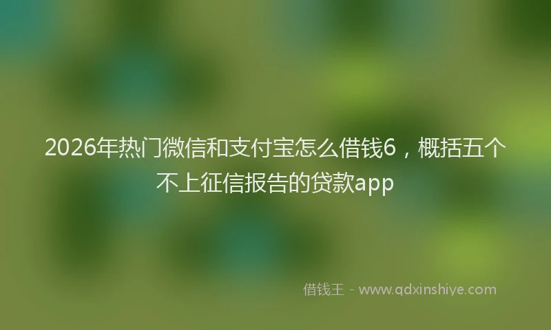 2026年热门微信和支付宝怎么借钱6，概括五个不上征信报告的贷款app