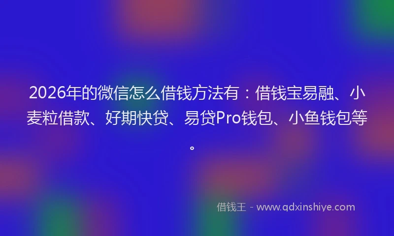 2026年的微信怎么借钱方法有：借钱宝易融、小麦粒借款、好期快贷、易贷Pro钱包、小鱼钱包等。