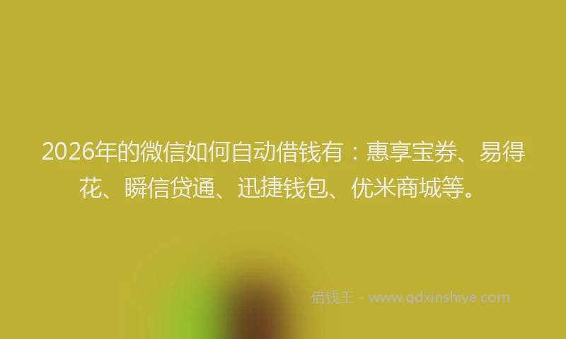 2026年的微信如何自动借钱有:惠享宝券、易得花、瞬信贷通、迅捷钱包、优米商城等。