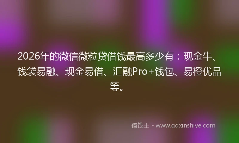 2026年的微信微粒贷借钱最高多少有：现金牛、钱袋易融、现金易借、汇融Pro+钱包、易橙优品等。
