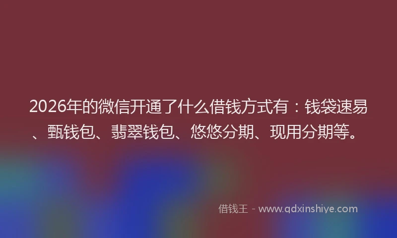 2026年的微信开通了什么借钱方式有：钱袋速易、甄钱包、翡翠钱包、悠悠分期、现用分期等。
