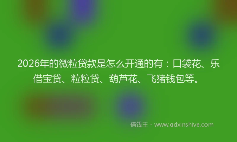 2026年的微粒贷款是怎么开通的有：口袋花、乐借宝贷、粒粒贷、葫芦花、飞猪钱包等。