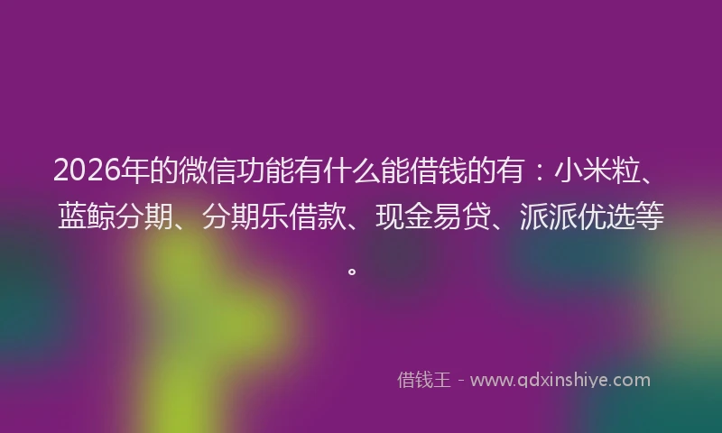 2026年的微信功能有什么能借钱的有：小米粒、蓝鲸分期、分期乐借款、现金易贷、派派优选等。