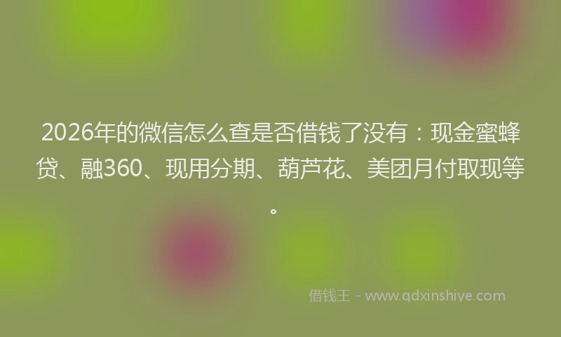 2026年的微信怎么查是否借钱了没有：现金蜜蜂贷、融360、现用分期、葫芦花、美团月付取现等。