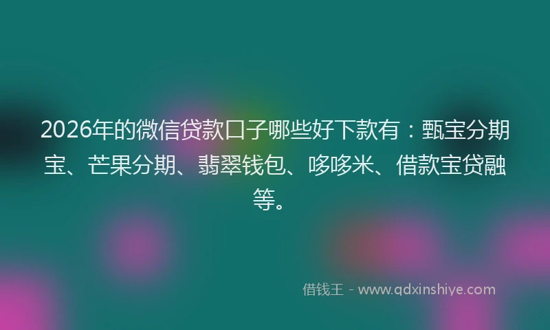 2026年的微信贷款口子哪些好下款有：甄宝分期宝、芒果分期、翡翠钱包、哆哆米、借款宝贷融等。