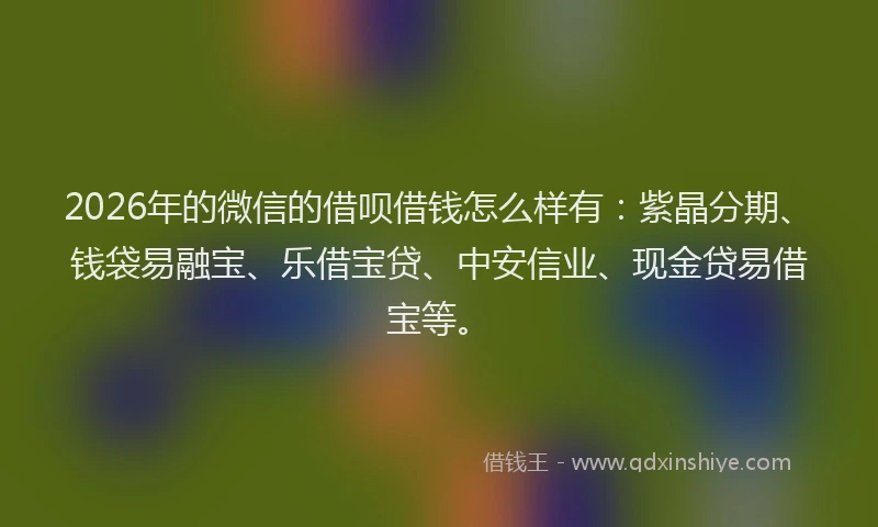 2026年的微信的借呗借钱怎么样有：紫晶分期、钱袋易融宝、乐借宝贷、中安信业、现金贷易借宝等。