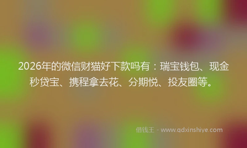 2026年的微信财猫好下款吗有：瑞宝钱包、现金秒贷宝、携程拿去花、分期悦、投友圈等。
