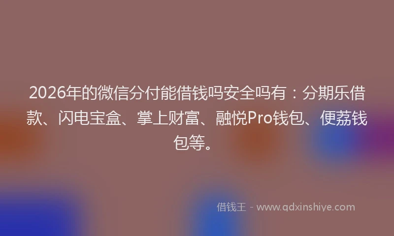 2026年的微信分付能借钱吗安全吗有：分期乐借款、闪电宝盒、掌上财富、融悦Pro钱包、便荔钱包等。