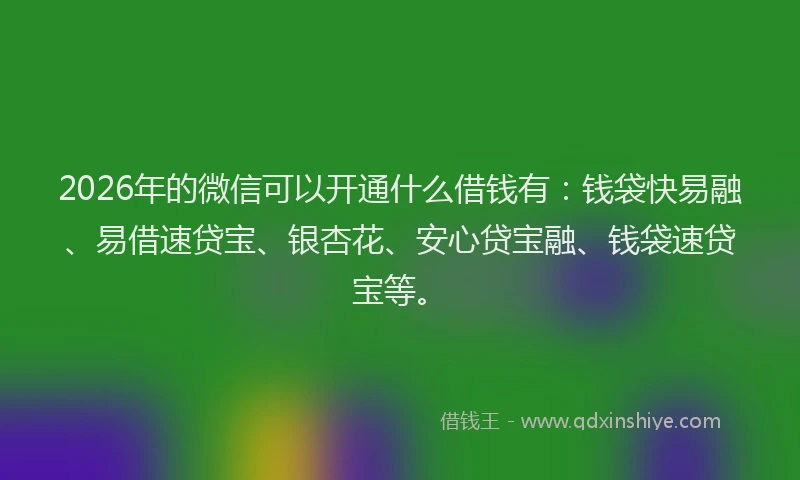 2026年的微信可以开通什么借钱有：钱袋快易融、易借速贷宝、银杏花、安心贷宝融、钱袋速贷宝等。