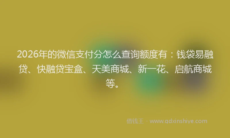 2026年的微信支付分怎么查询额度有：钱袋易融贷、快融贷宝盒、天美商城、新一花、启航商城等。