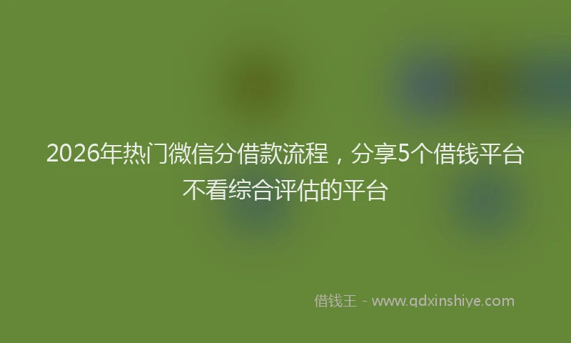 2026年热门微信分借款流程，分享5个借钱平台不看综合评估的平台