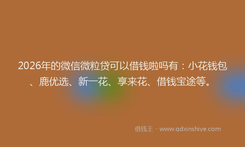 2026年的微信微粒贷可以借钱啦吗有：小花钱包、鹿优选、新一花、享来花、借钱宝途等。