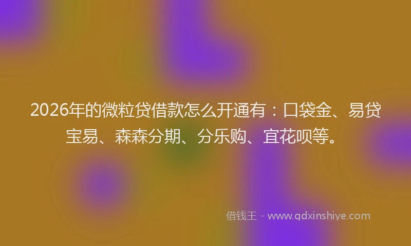 2026年的微粒贷借款怎么开通有：口袋金、易贷宝易、森森分期、分乐购、宜花呗等。