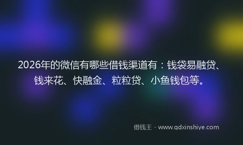 2026年的微信有哪些借钱渠道有：钱袋易融贷、钱来花、快融金、粒粒贷、小鱼钱包等。