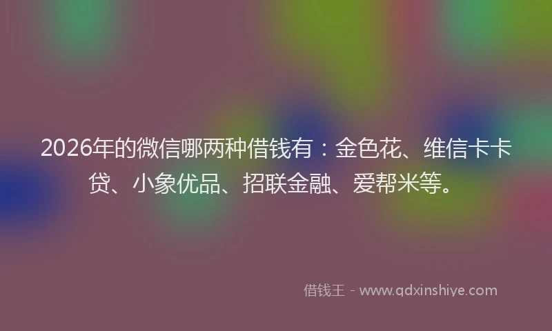 2026年的微信哪两种借钱有:金色花、维信卡卡贷、小象优品、招联金融、爱帮米等。