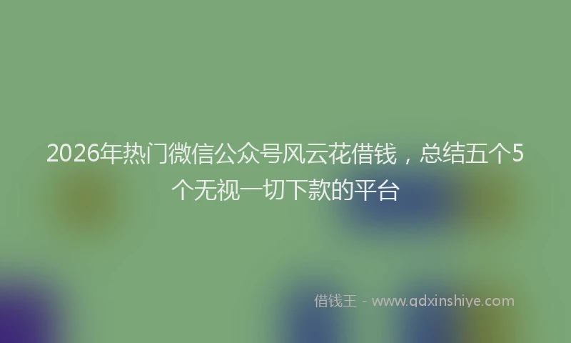 2026年热门微信公众号风云花借钱,总结五个5个无视一切下款的平台