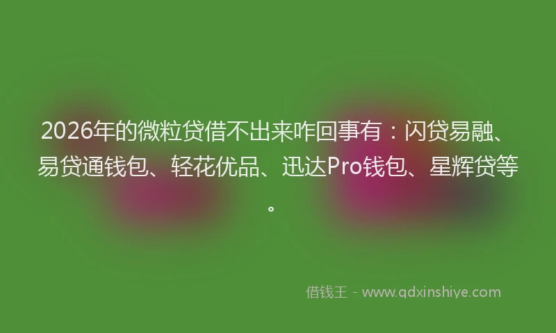 2026年的微粒贷借不出来咋回事有:闪贷易融、易贷通钱包、轻花优品、迅达Pro钱包、星辉贷等。