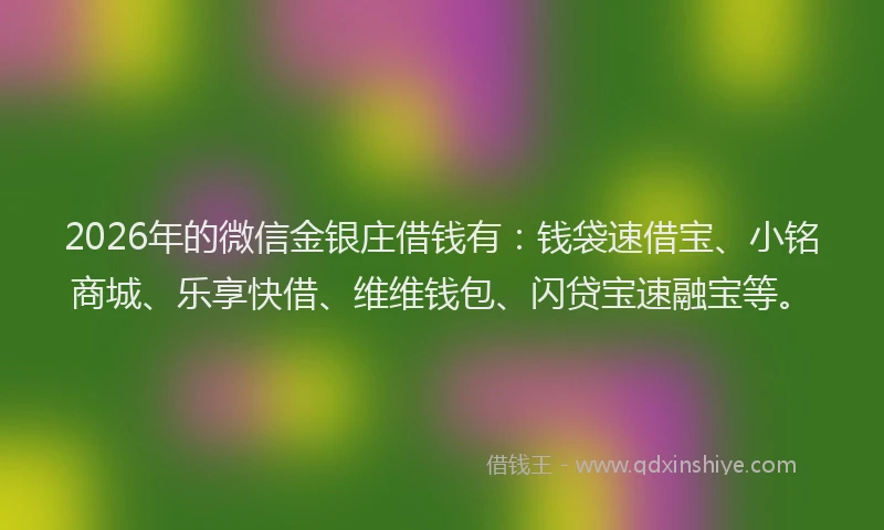 2026年的微信金银庄借钱有：钱袋速借宝、小铭商城、乐享快借、维维钱包、闪贷宝速融宝等。