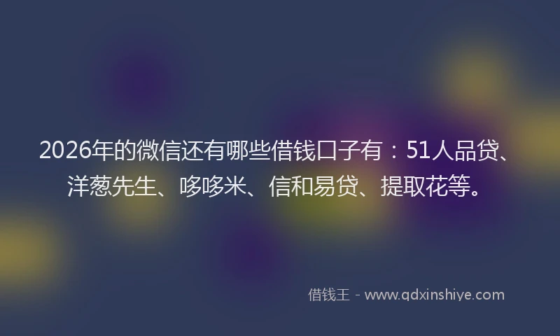 2026年的微信还有哪些借钱口子有：51人品贷、洋葱先生、哆哆米、信和易贷、提取花等。