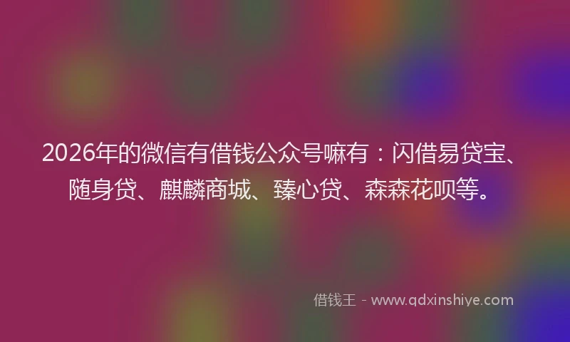 2026年的微信有借钱公众号嘛有：闪借易贷宝、随身贷、麒麟商城、臻心贷、森森花呗等。
