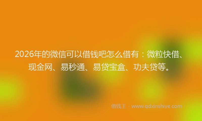 2026年的微信可以借钱吧怎么借有:微粒快借、现金网、易秒通、易贷宝盒、功夫贷等。