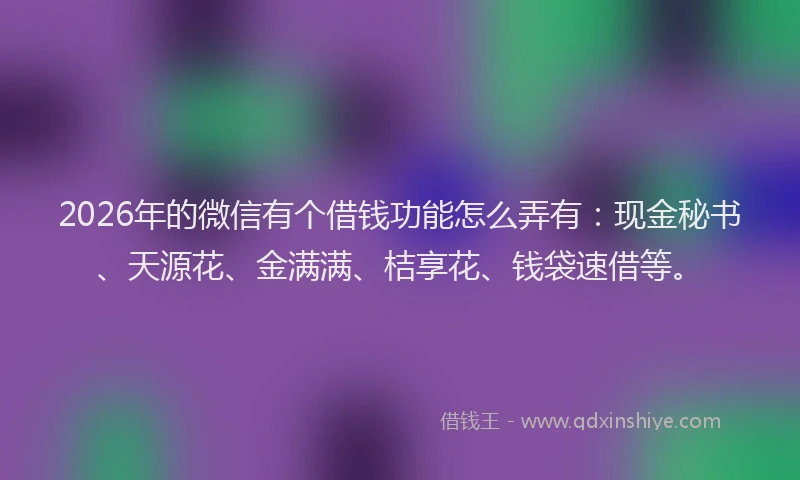 2026年的微信有个借钱功能怎么弄有：现金秘书、天源花、金满满、桔享花、钱袋速借等。
