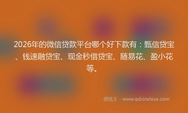 2026年的微信贷款平台哪个好下款有：甄信贷宝、钱速融贷宝、现金秒借贷宝、随易花、盈小花等。