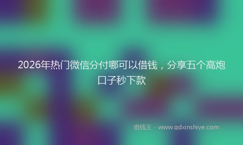 2026年热门微信分付哪可以借钱，分享五个高炮口子秒下款