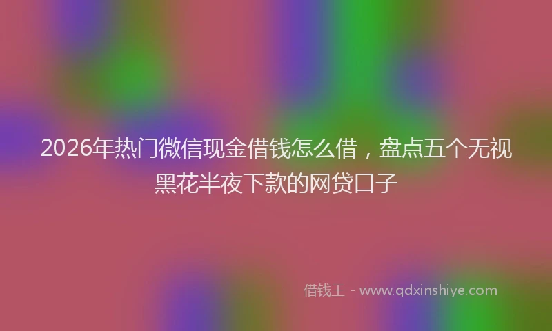 2026年热门微信现金借钱怎么借，盘点五个无视黑花半夜下款的网贷口子