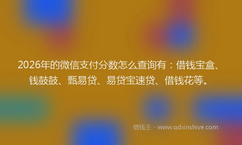 2026年的微信支付分数怎么查询有:借钱宝盒、钱鼓鼓、甄易贷、易贷宝速贷、借钱花等。